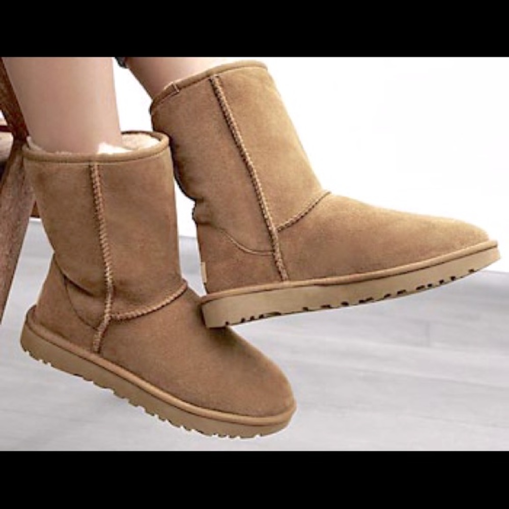♥︎UGGS